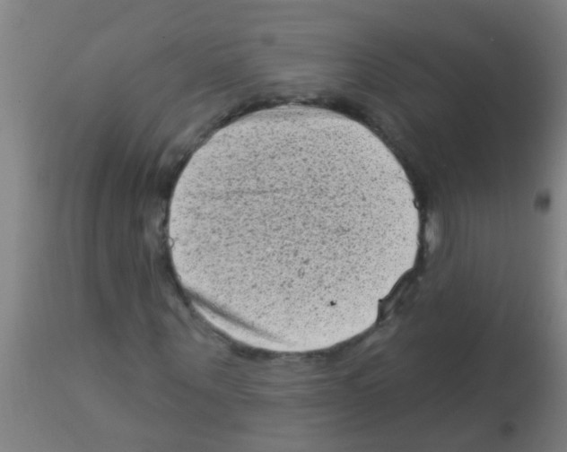 X0000113160867200910161242