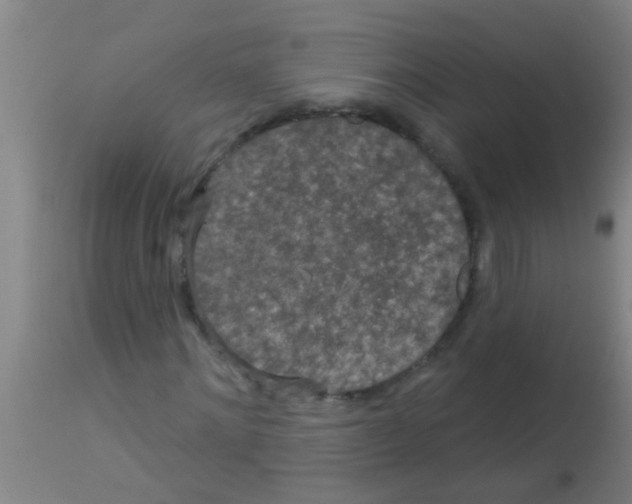 X0000113160868200910161242