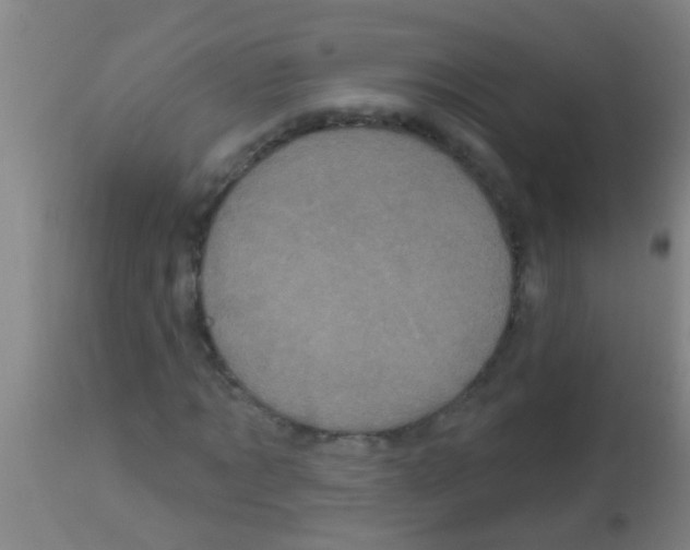 X0000113160869200910161242