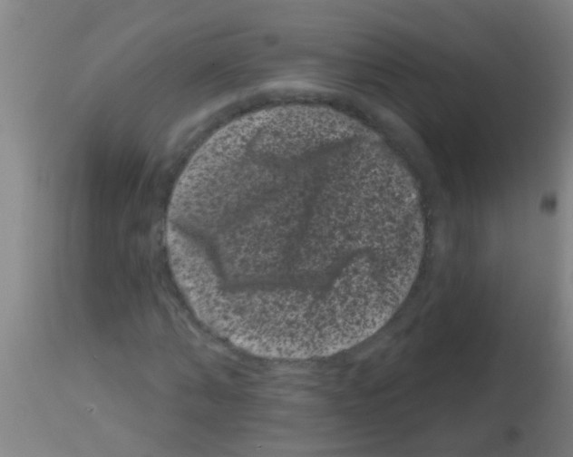 X0000113160870200910161242