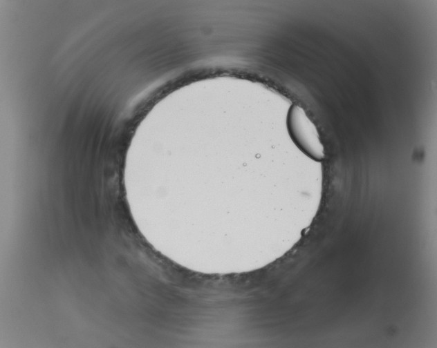 X0000113160872200910161242