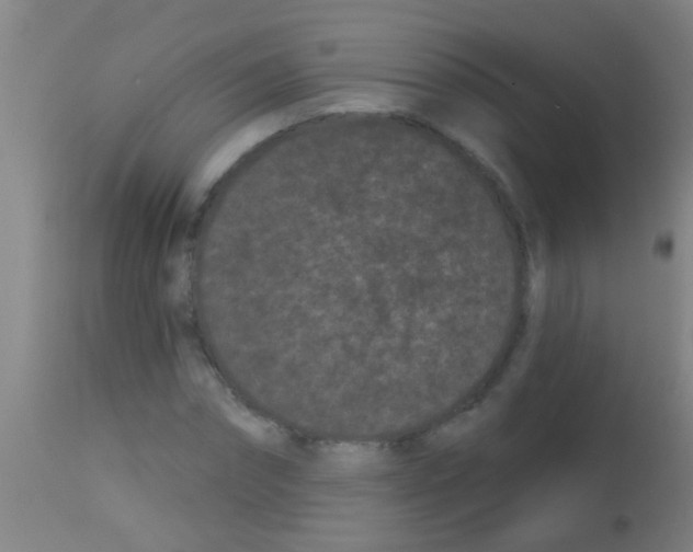 X0000113160874200910161242