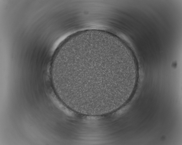 X0000113160875200910161242