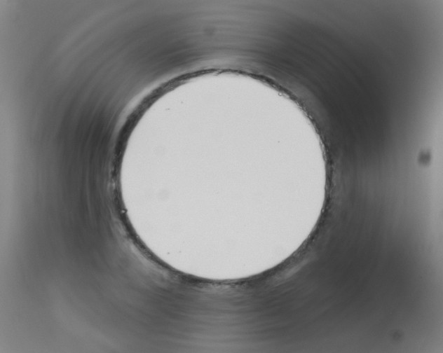 X0000113160880200910161242