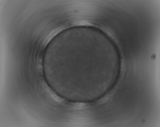 X0000113160881200910161242