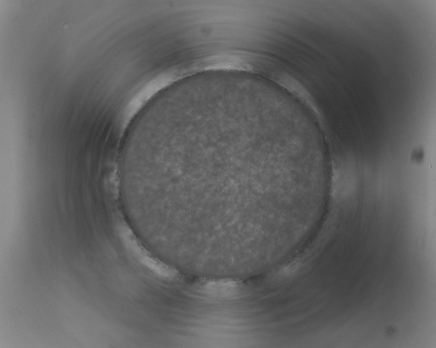 X0000113160882200910161242