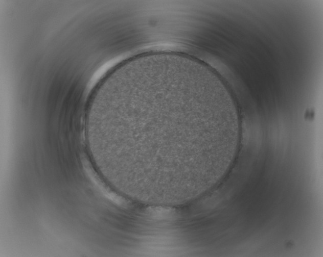 X0000113160886200910161242