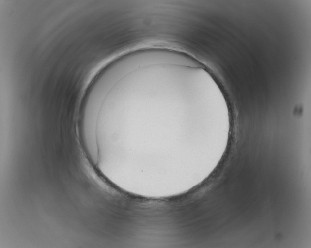 X0000113160888200910161242