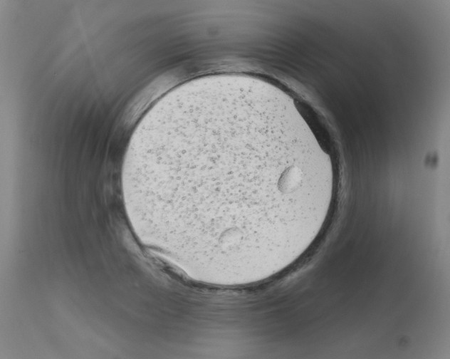 X0000113160889200910161241