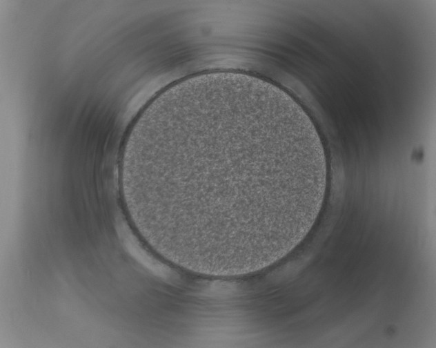 X0000113160890200910161241