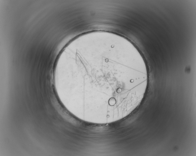 X0000113160891200910161241