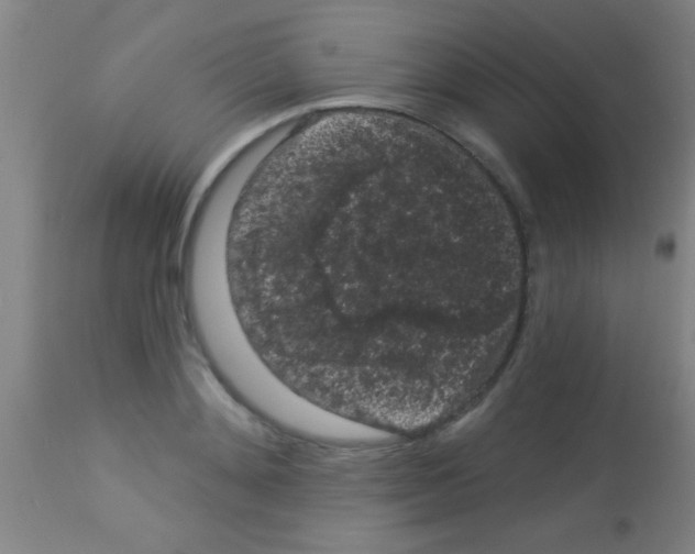 X0000113160892200910161241