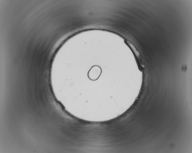 X0000113160896200910161241