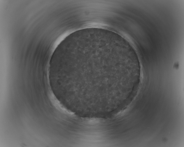 X0000113160899200910161241