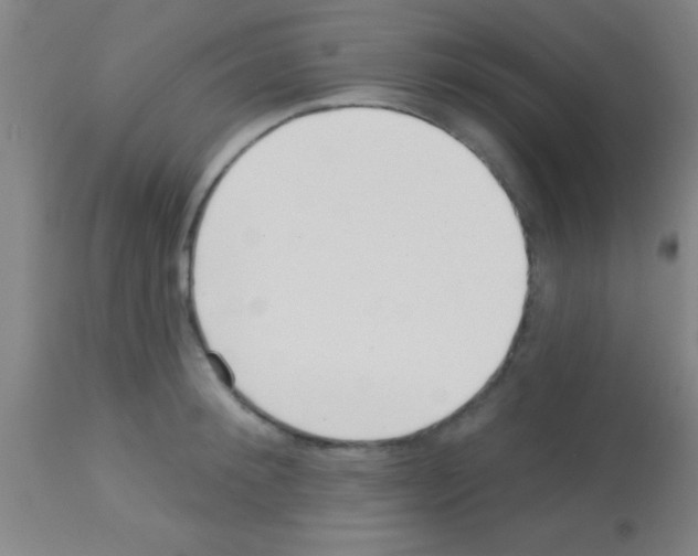 X0000113160900200910161241