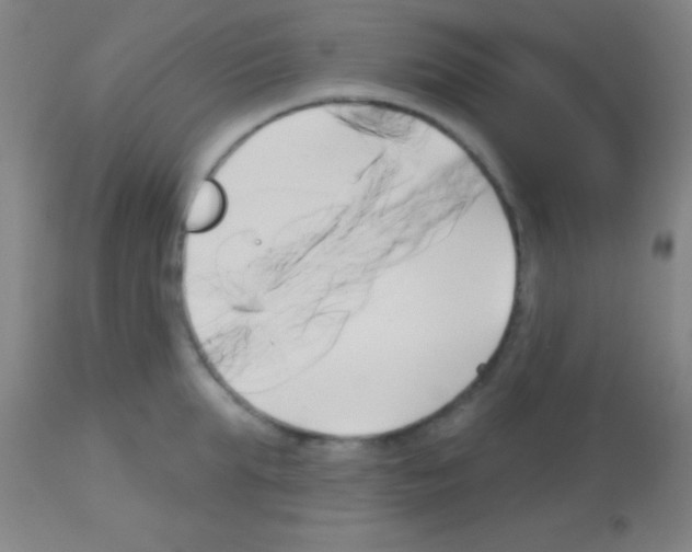 X0000113160903200910161241