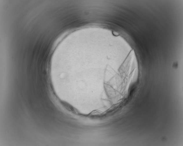 X0000113160907200910161241