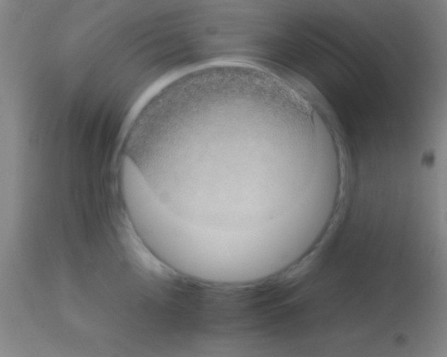 X0000113160908200910161241