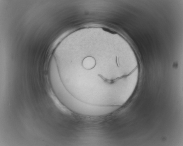 X0000113160909200910161241