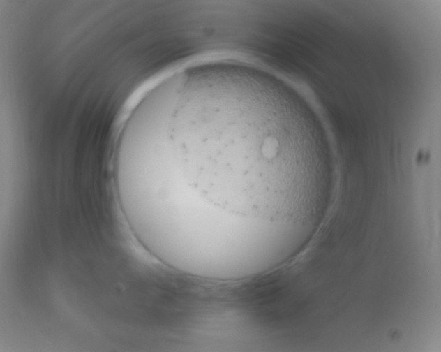 X0000113160912200910161241