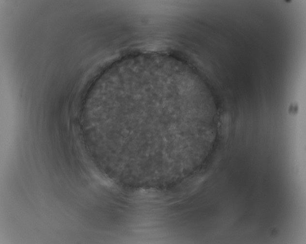 X0000113160913200910161240