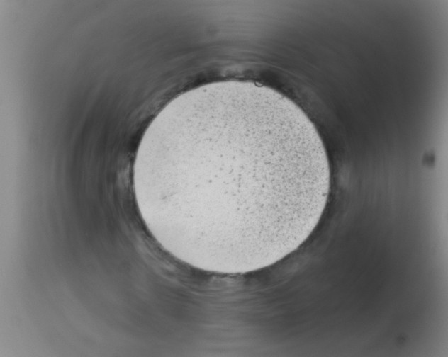 X0000113160914200910161240