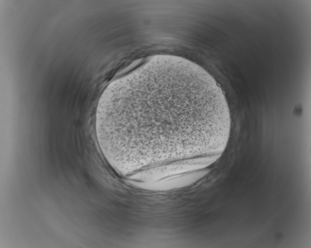 X0000113160916200910161240