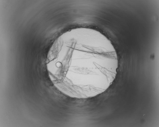 X0000113160917200910161240