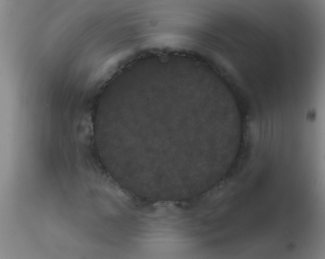 X0000113160918200910161240