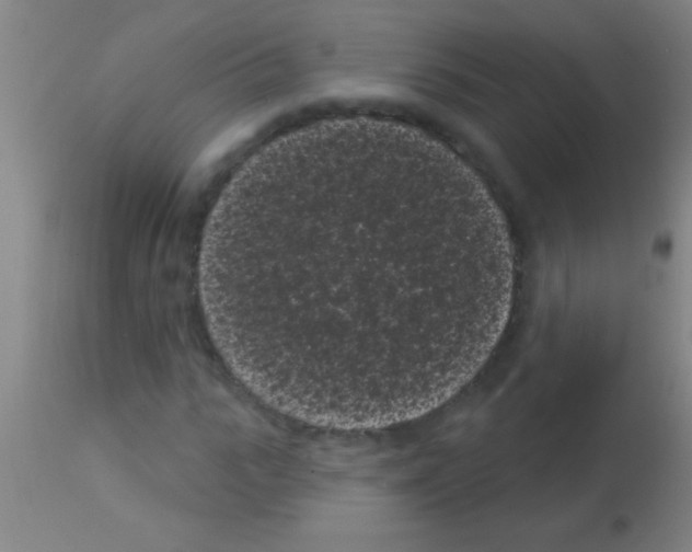 X0000113160919200910161240