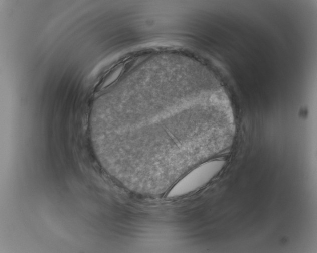 X0000113160920200910161240