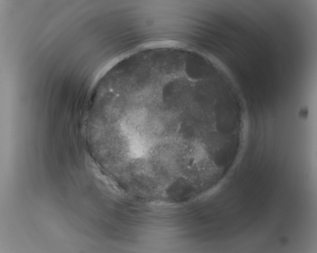 X0000113160921200910161240