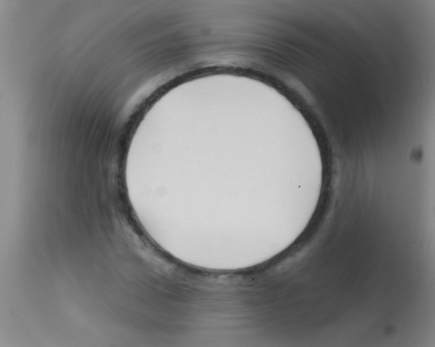 X0000113160922200910161240