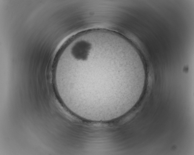 X0000113160924200910161240