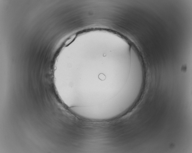 X0000113160926200910161240