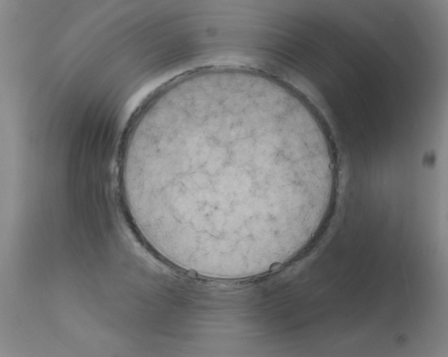 X0000113160928200910161240