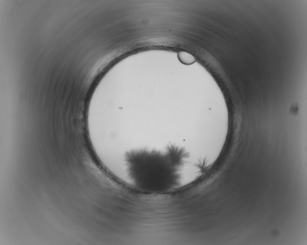 X0000113160930200910161240