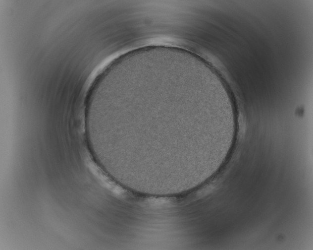 X0000113160931200910161241