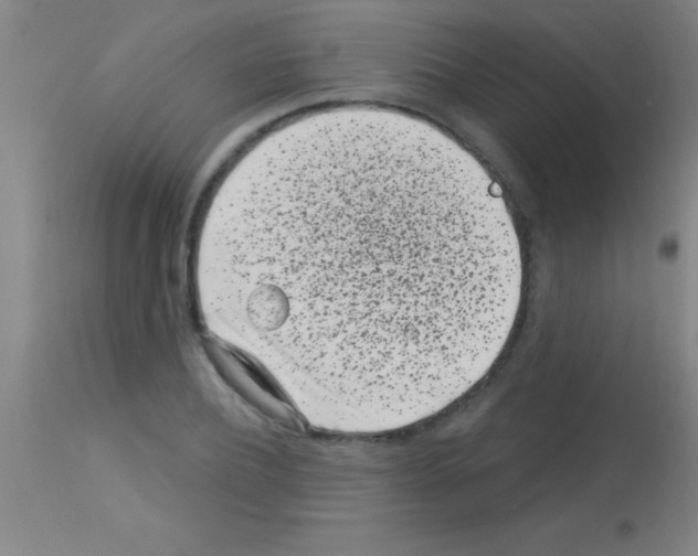 X0000113160932200910161241