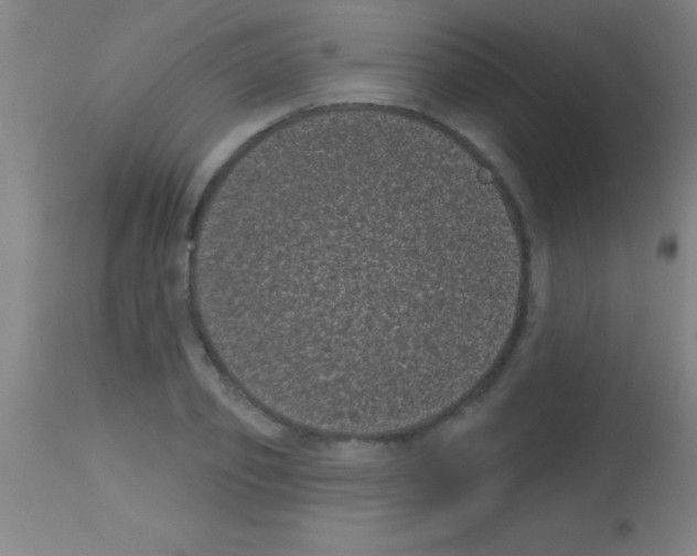 X0000113160933200910161241