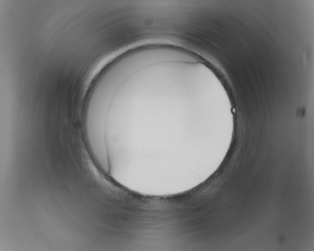 X0000113160935200910161241