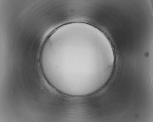 X0000113160936200910161241