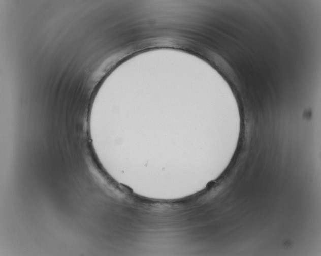 X0000113160938200910161241