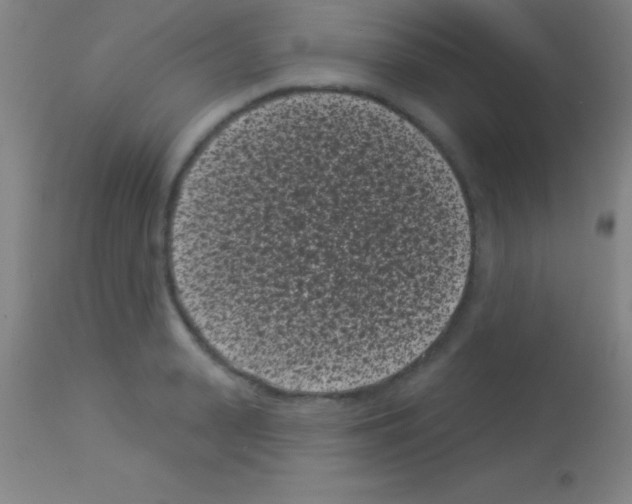 X0000113160943200910161241