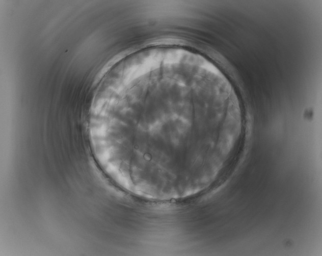 X0000113160945200910161241