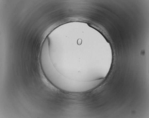 X0000113160946200910161241