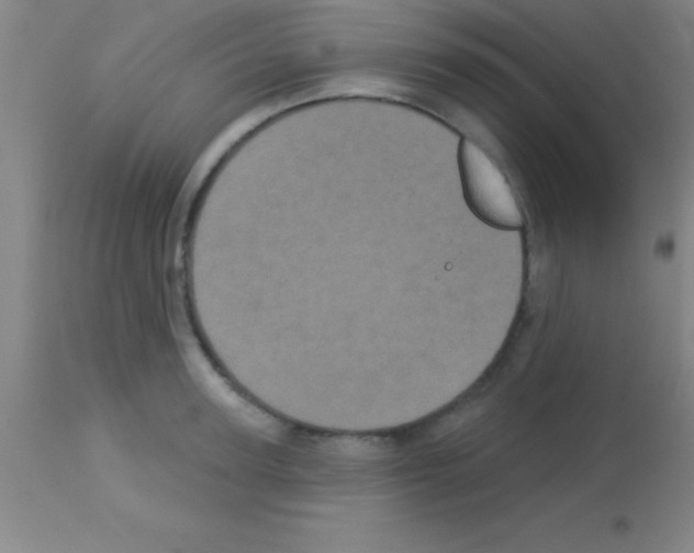 X0000113160947200910161241