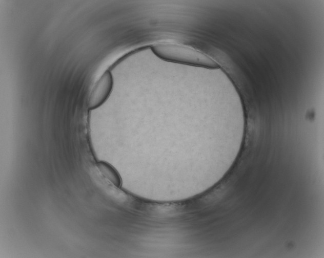 X0000113160948200910161241