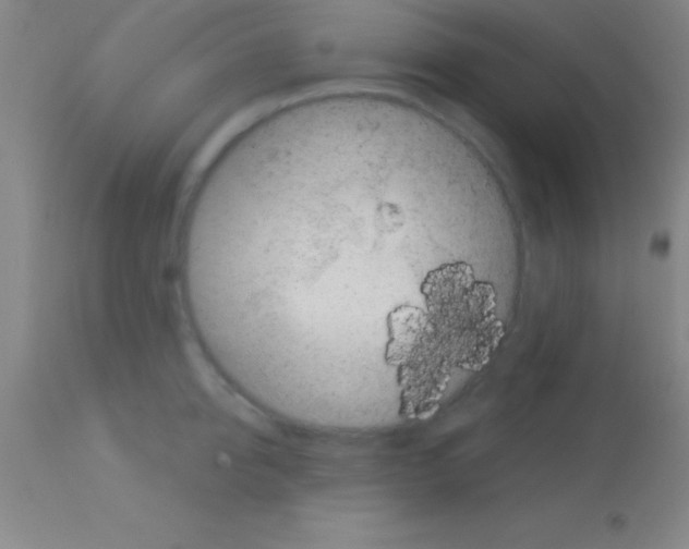 X0000113160950200910161241