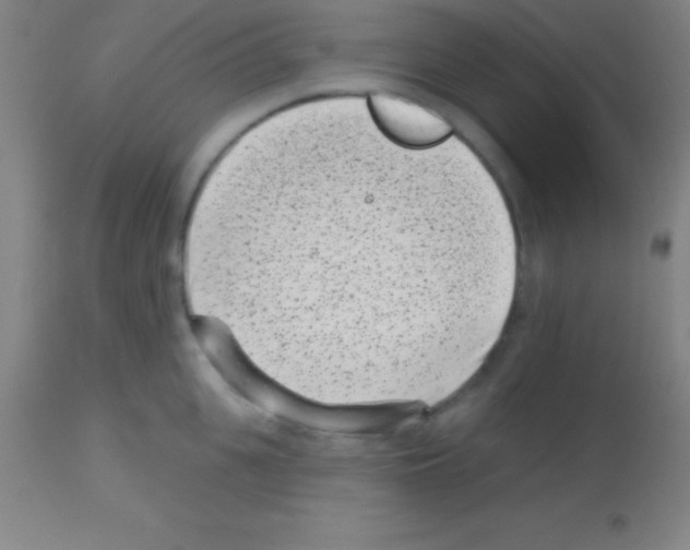 X0000113160951200910161241